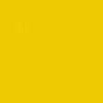 RAL1023 Dark Yellow