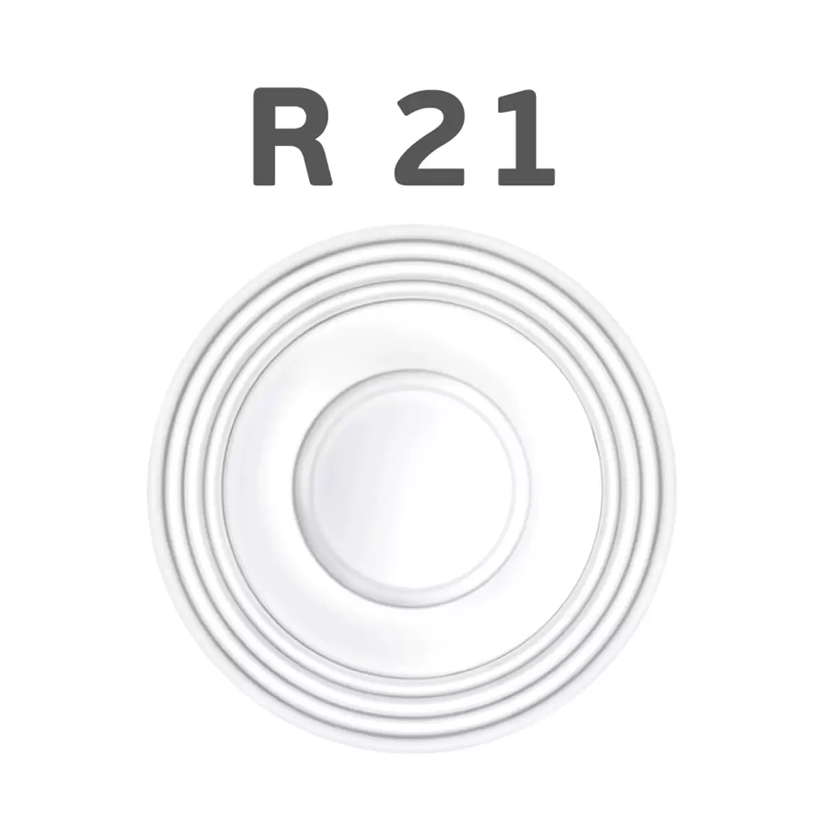 ΡΟΖΕΤΑ ΦΩΤΙΣΤΙΚΟΥ R-21