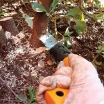 ΠΡΙΟΝΙΑ ΚΛΑΔΟΥ ΜΕ ΛΑΜΑ ΠΟΥ ΜΑΖΕΥΕΙ SW73 160ΜΜ ΝΕΟ FISKARS 123870